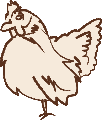 Frische Bio-Eier