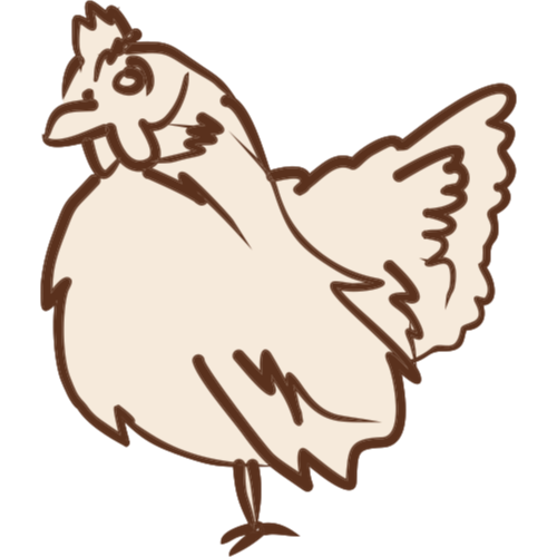 Frische Bio-Eier