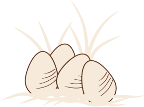 Eier