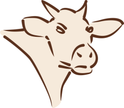 Rindfleisch